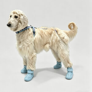 PawVent Cooling Clogs