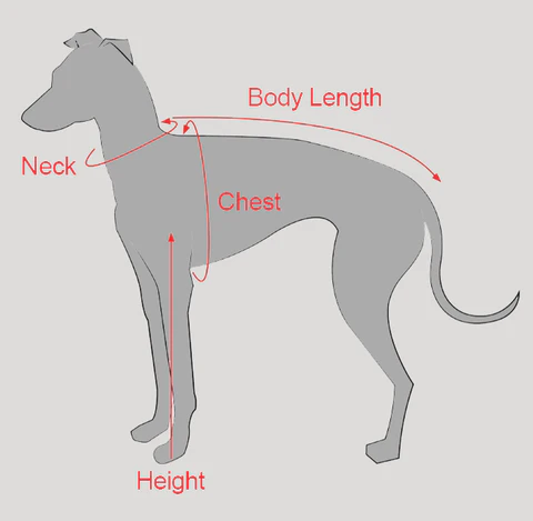 Dog clothes measuring diagram, guide to measure neck, chest, body length and height for dog raincoat size selection