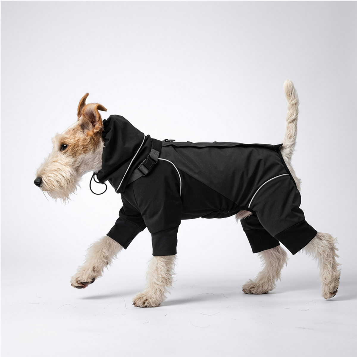 Side profile studio shot of a wire fox terrier walking on plain light gray backdrop, wearing solid black WoofShield four-leg dog rain jacket with integrated attached hood, hood drawstring, reflective piping and elastic fitted leg cuffs