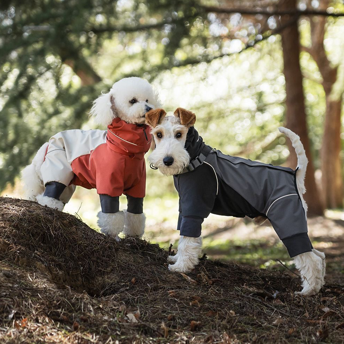 Wooded outdoor group shot of two dogs standing on earthy mounds, one in rust off-white two-tone WoofShield four-leg rain jacket, the other in solid dark gray version; integrated hood, reflective piping and elastic leg cuffs are visible
