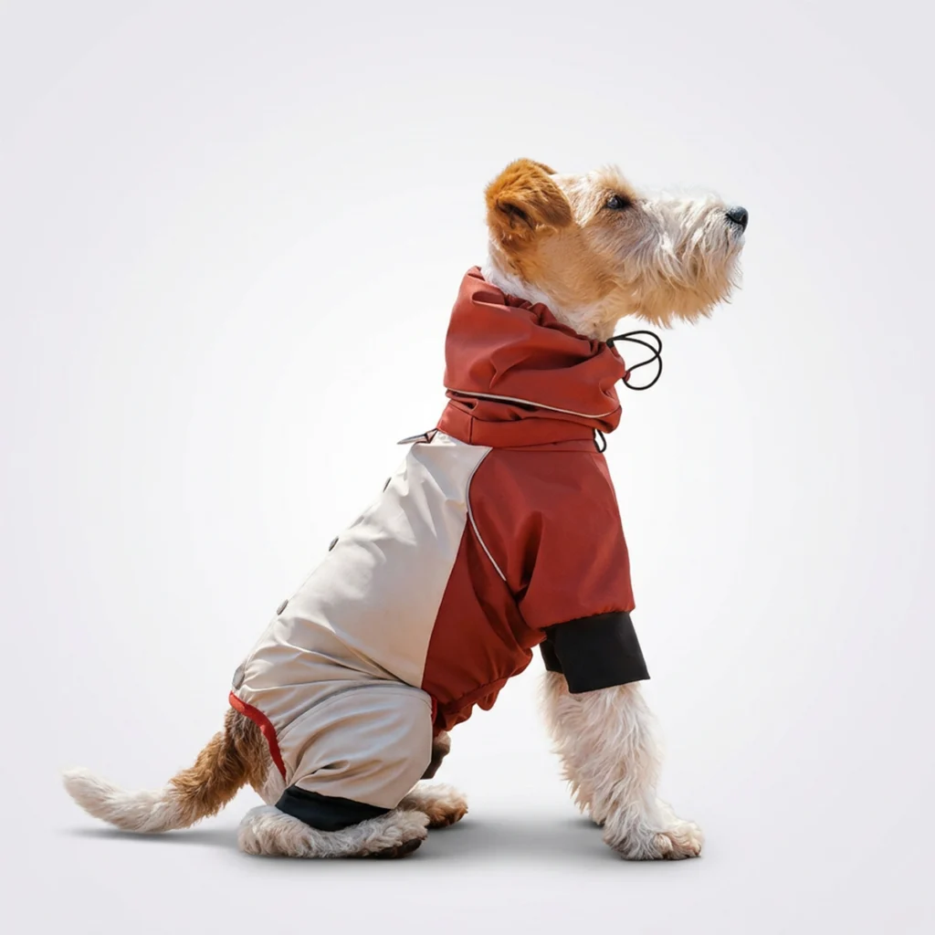 Square studio photo of a wire fox terrier sitting on soft pale gray backdrop, wearing two-tone rust and off-white StormShield four-leg dog rain jacket, featuring integrated hood with adjustable drawstring, reflective trim and black elastic leg cuffs